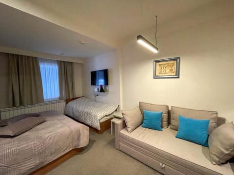 Bed, TV and multimedia, Seating area