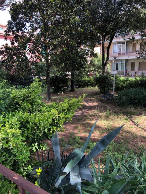 Property building, Garden view