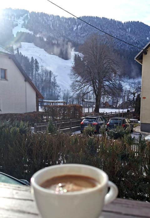 Hiša MIHA Stunning Spacious House & Apartment Podkoren Kranjska Gora Apartment in Friuli-Venezia Giulia