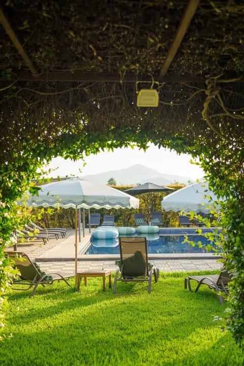 Natural landscape, Garden, Garden view, Pool view, Swimming pool