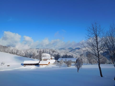 Off site, Natural landscape, Winter