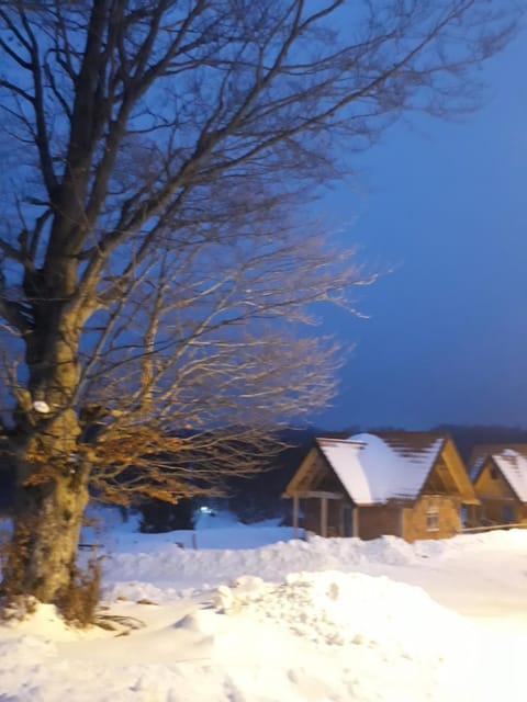 VILA ZORANA House in Zlatibor District, Serbia