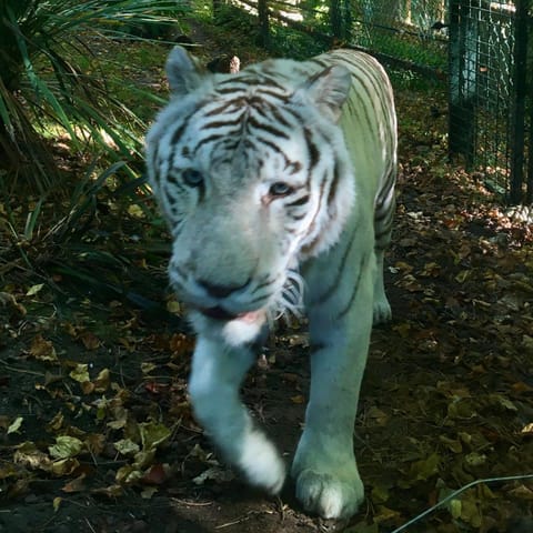 Off site, Landmark view