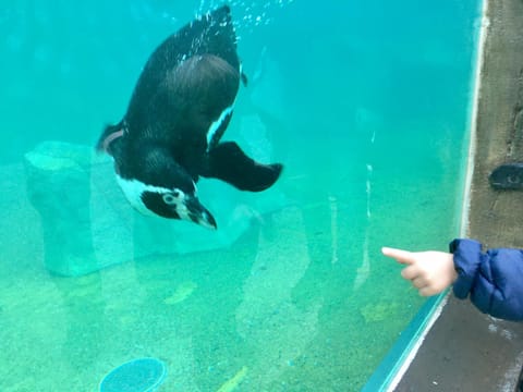 Off site, Activities