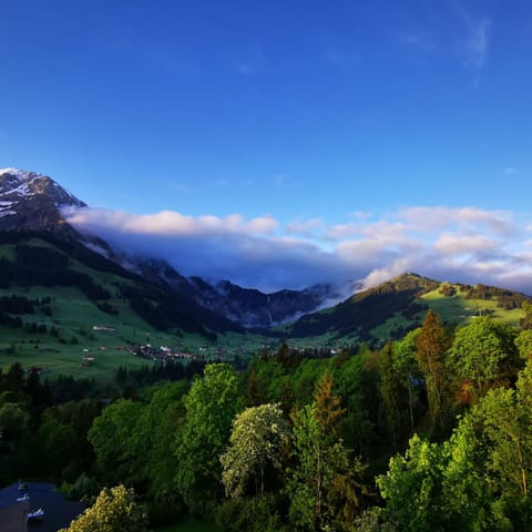 FeWo Fernsicht Crystal Apartment in Adelboden