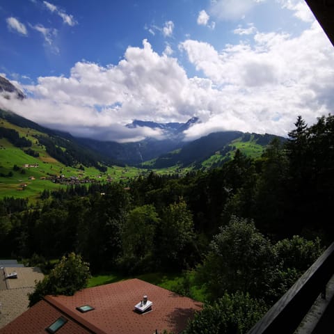 FeWo Fernsicht Crystal Apartment in Adelboden