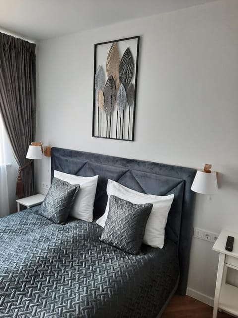 DanGinta Apartment in Lithuania