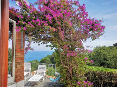 Balcony/Terrace, Sea view