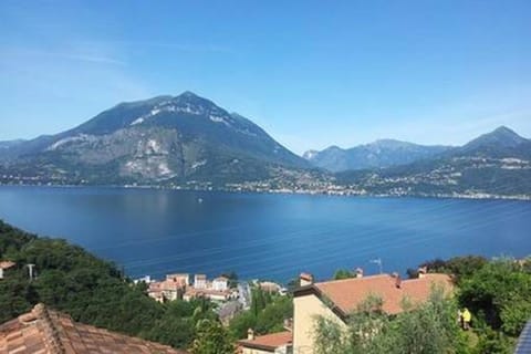 Lake view