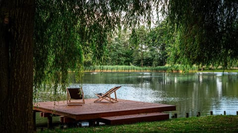 Lake view