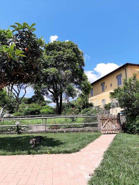 Property building, Garden view, Pool view