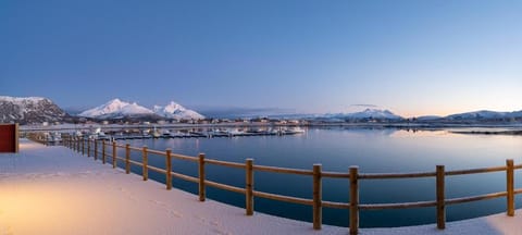 Lilleeideholmen Sjøhusutleie Apartment in Lofoten