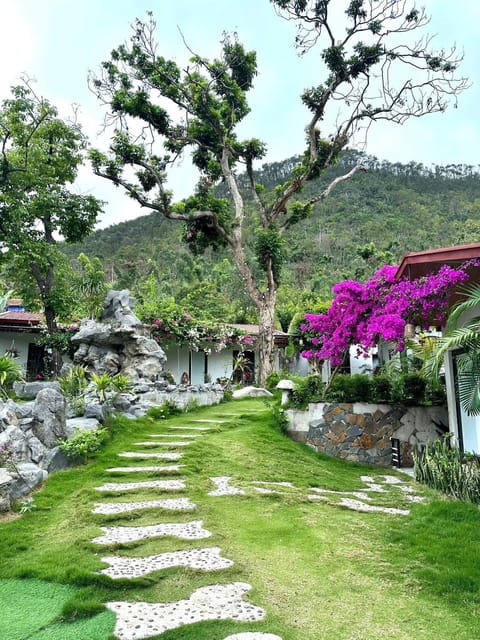Garden, Garden view, Mountain view