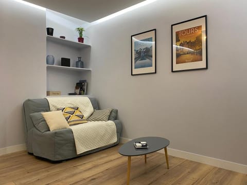 Lumineux T2 situé dans l'hyper centre de Tours Apartment in Tours