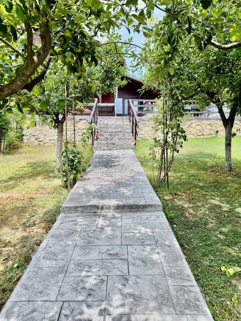 Casa Andrei House in Serbia