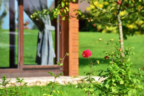Spacious Loft in the Nature Apartment in Vilnius County, Lithuania