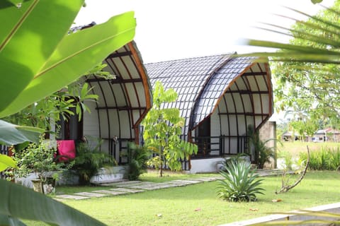 Property building, Garden, Garden view