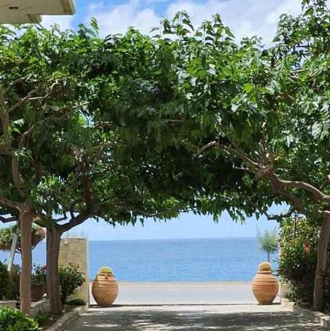 Facade/entrance, Garden