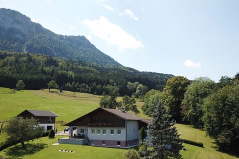 Am Mondseeblick Apartment in Mondsee