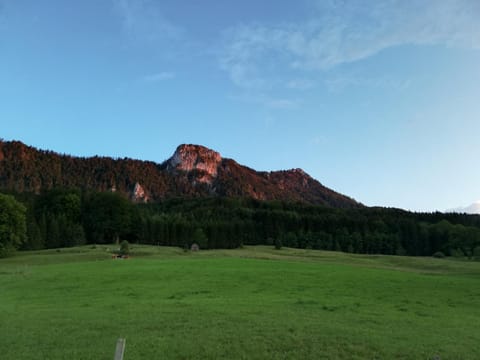 Am Mondseeblick Apartment in Mondsee