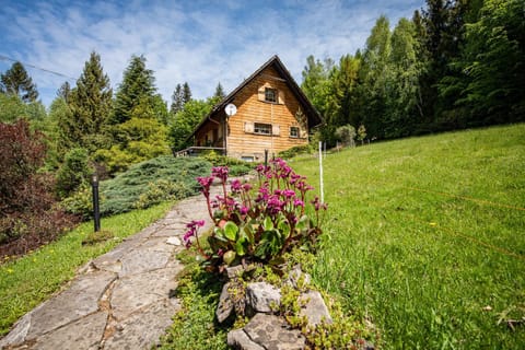 Property building, Spring, Day, Neighbourhood, Natural landscape, Garden
