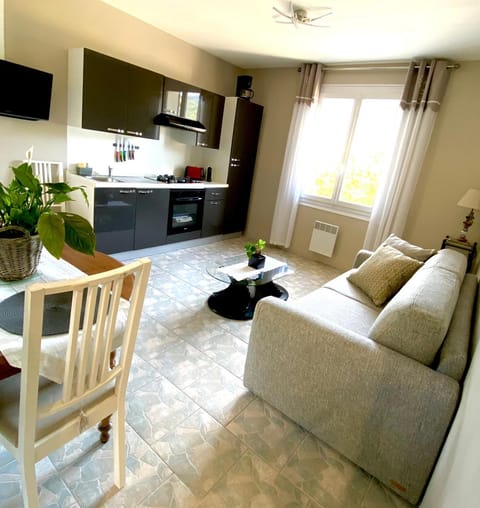 Vue panoramique sur le château,montagne et grottes Apartment in Fontaine-de-Vaucluse