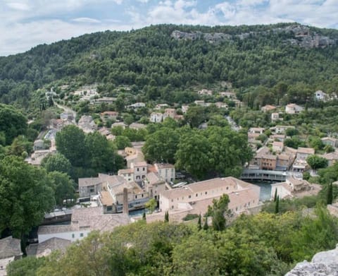 Vue panoramique sur le château,montagne et grottes Apartment in Fontaine-de-Vaucluse