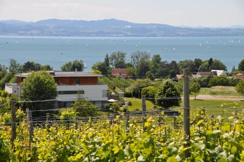 Lake view, Mountain view