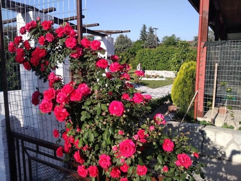 Green house - Apartment in Aridaia-Loutra Pozar House in Decentralized Administration of Macedonia and Thrace