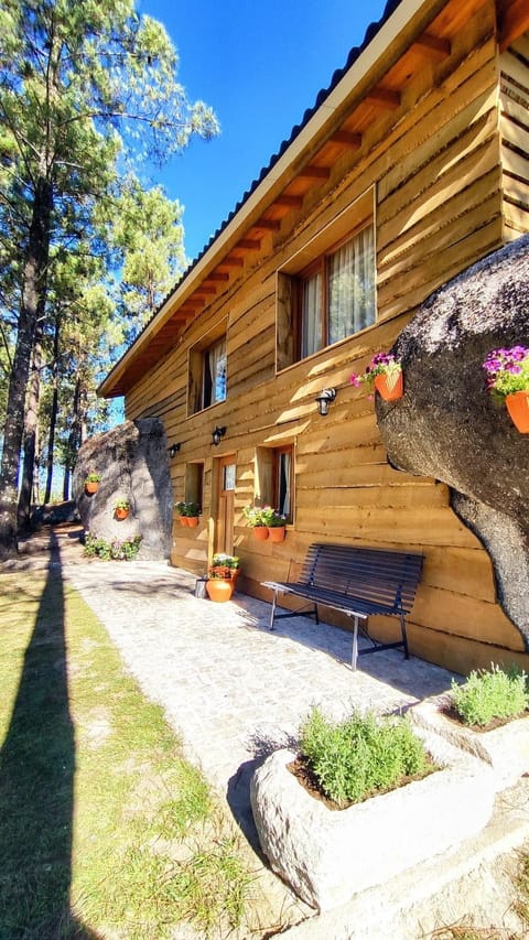 Patio, Facade/entrance, Garden