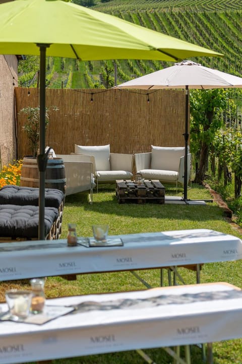 Weingut J. A. Meyer Bed and Breakfast in Trier-Saarburg