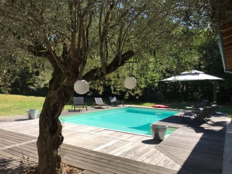 Garden, Swimming pool, Swimming pool
