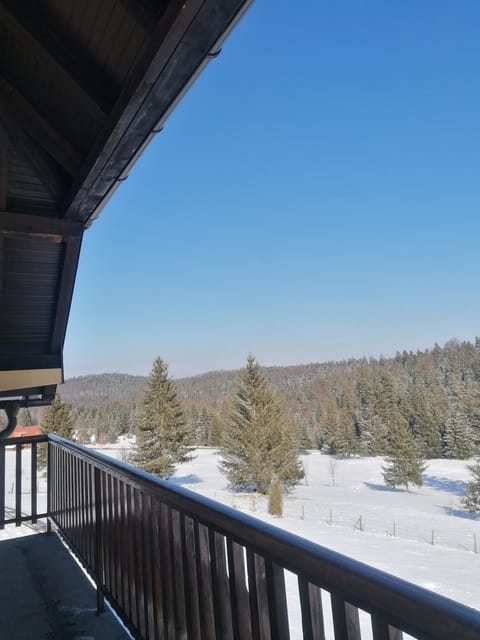 Vila Milija Apartment in Zlatibor District, Serbia