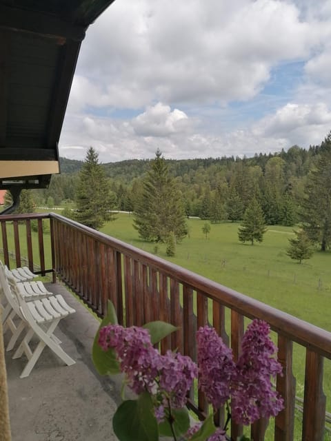 Vila Milija Apartment in Zlatibor District, Serbia