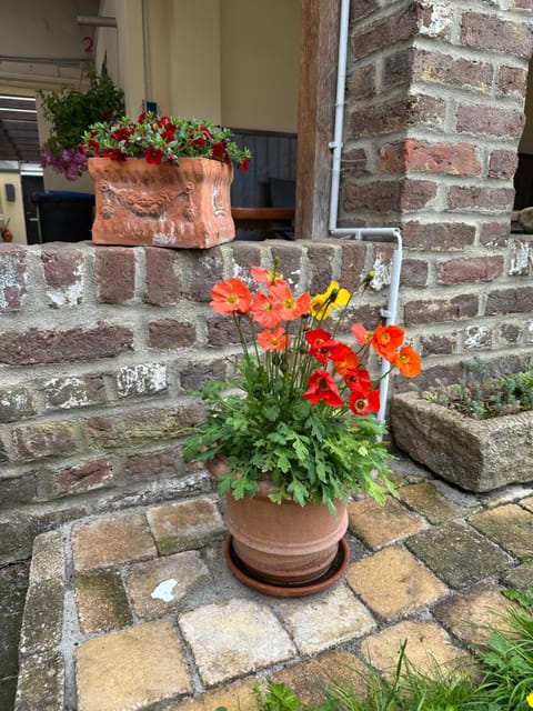 Doros Ferienoase Apartment in Herzogenrath