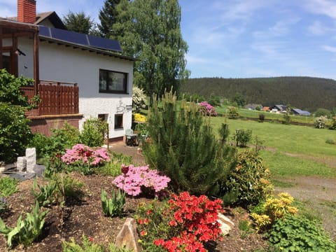 Property building, Garden