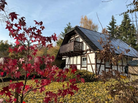 Property building, Garden, Balcony/Terrace