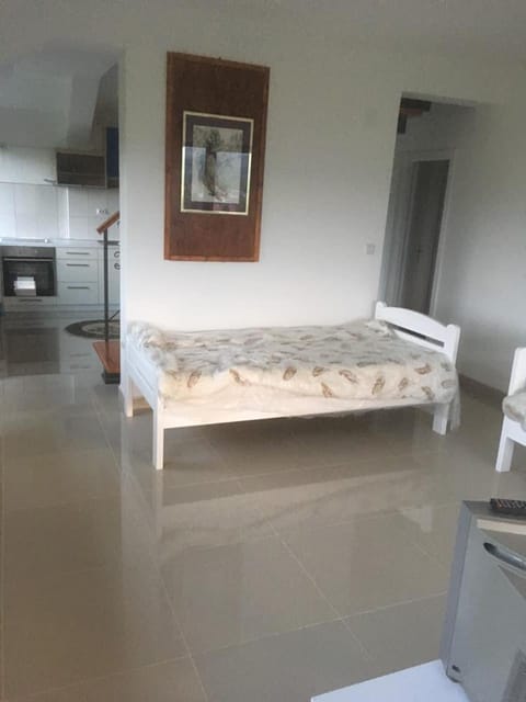 Vila Akademik A3 Apartment in Serbia