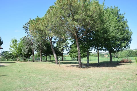 Ca' Masini Apartment in Marche