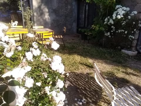 Spring, Garden, Garden view