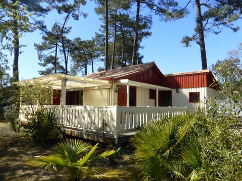 Property building, Garden view