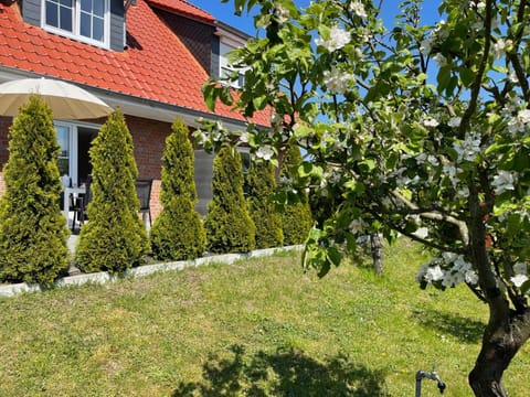 Ferienhaus am Darß House in Mecklenburg-Vorpommern, Germany