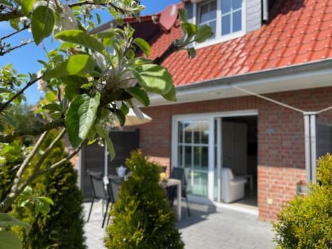 Ferienhaus am Darß House in Mecklenburg-Vorpommern, Germany