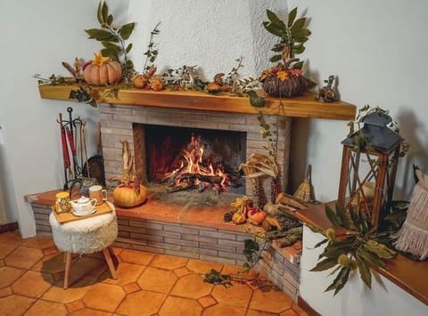 Food and drinks, Food, fireplace, fireplace