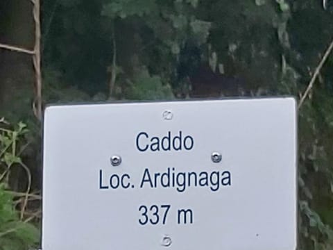 Logo/Certificate/Sign