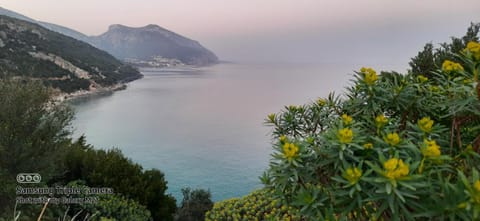 Amazing View Home Apartment in Cala Gonone