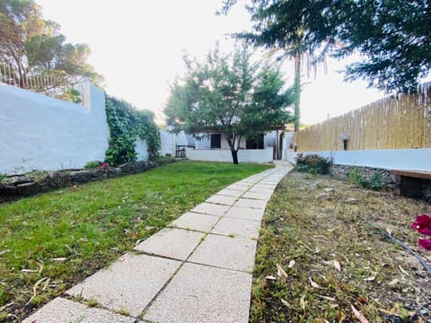 Spring, Day, Garden, Garden view