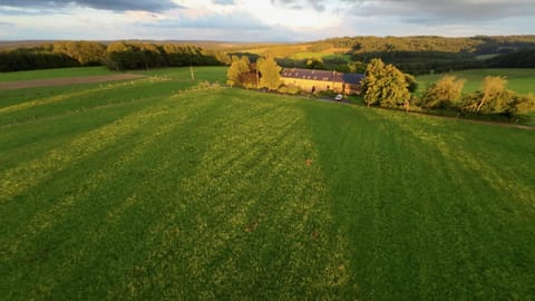 Property building, Bird's eye view, View (from property/room)