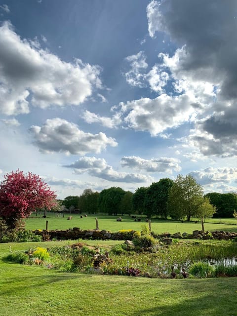 Garden, Garden view
