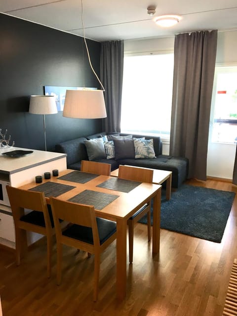 Premium Chalet 4109 Blue House in Finland